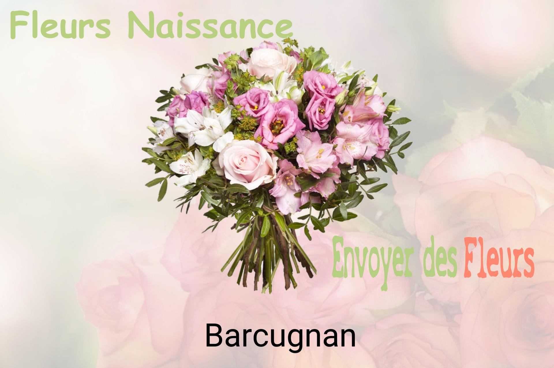 Bouquet de fleurs de naissance livré à Barcugnan